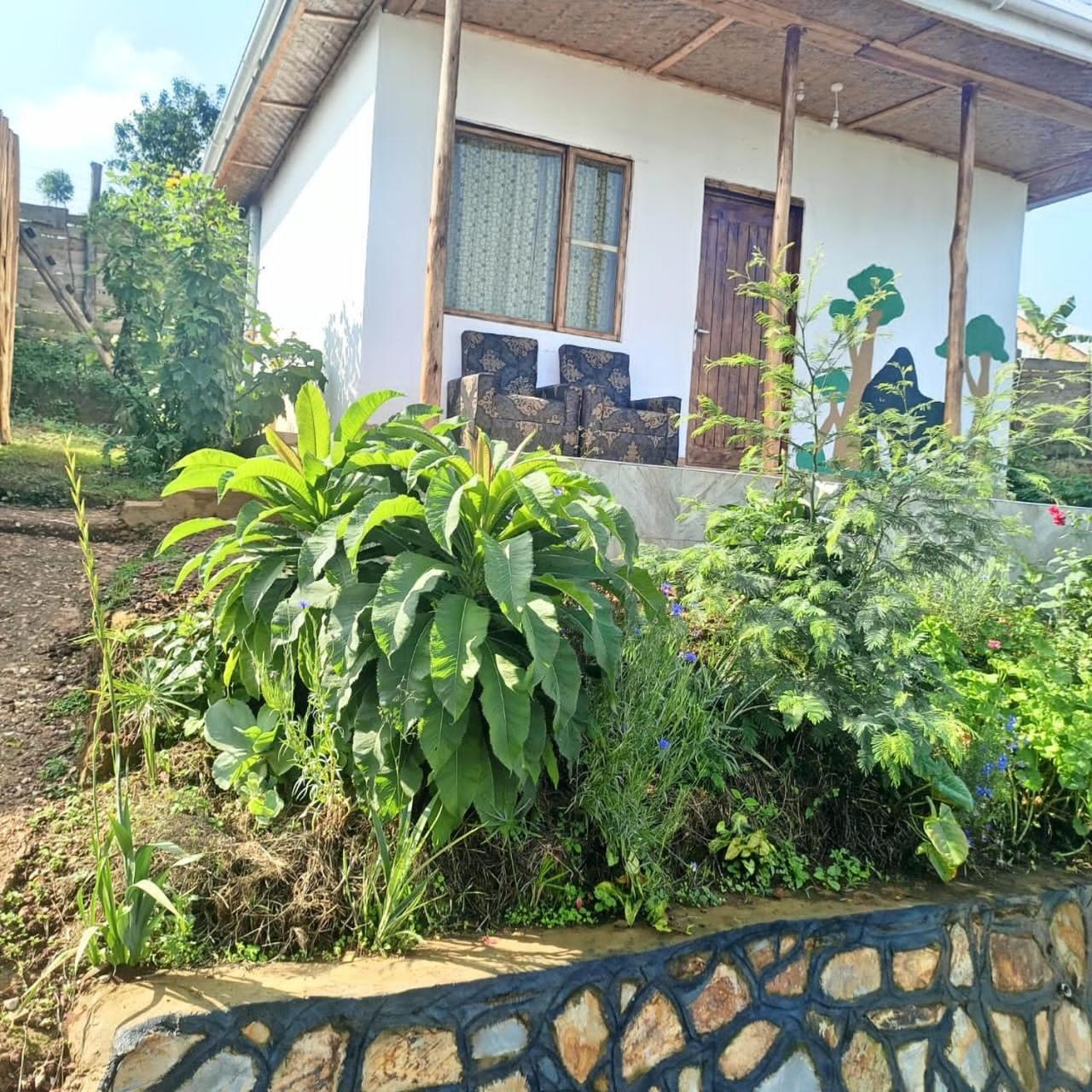 Kabale Ruhija Gorilla Guest House מראה חיצוני תמונה